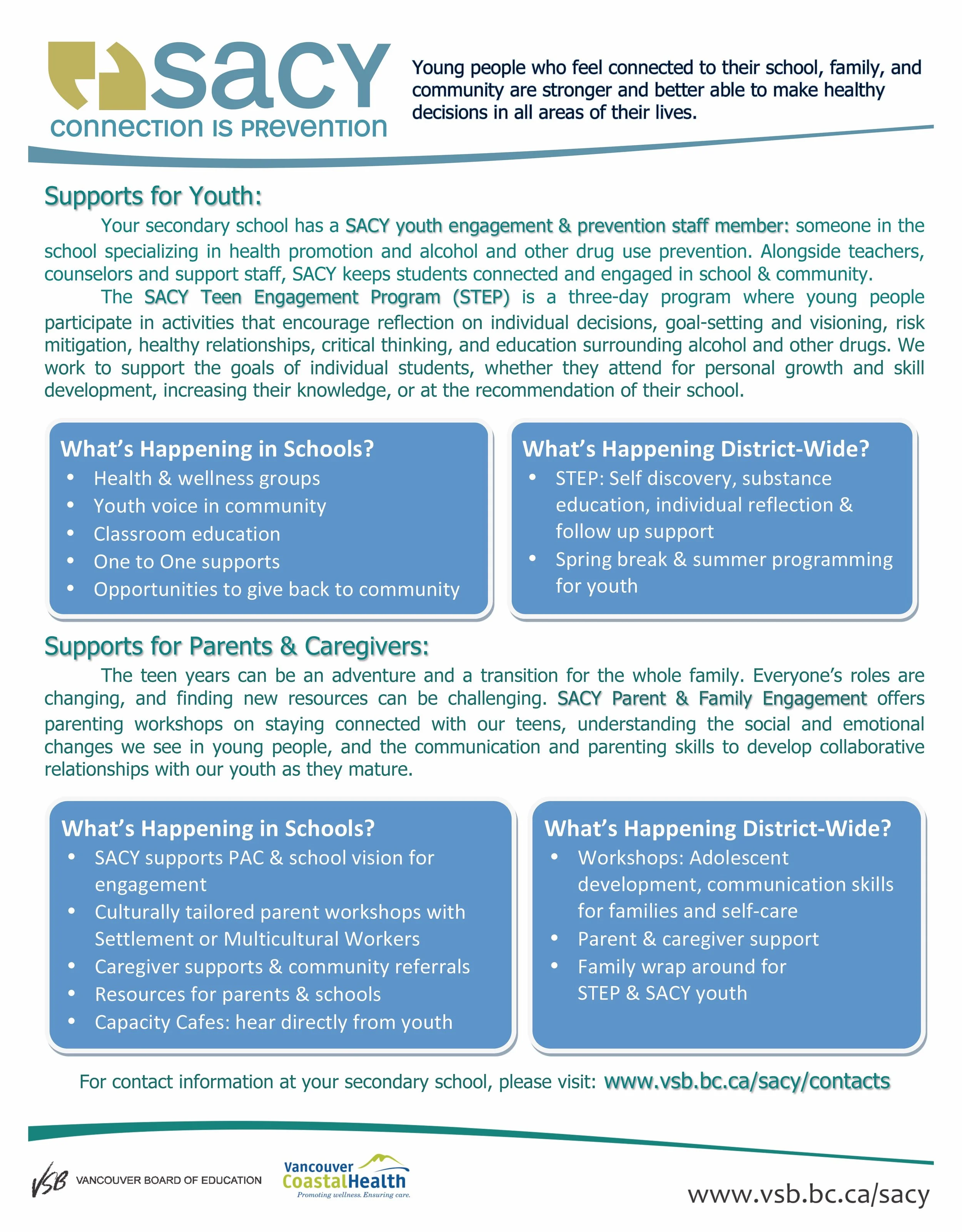SACY One Pager 2017.jpg