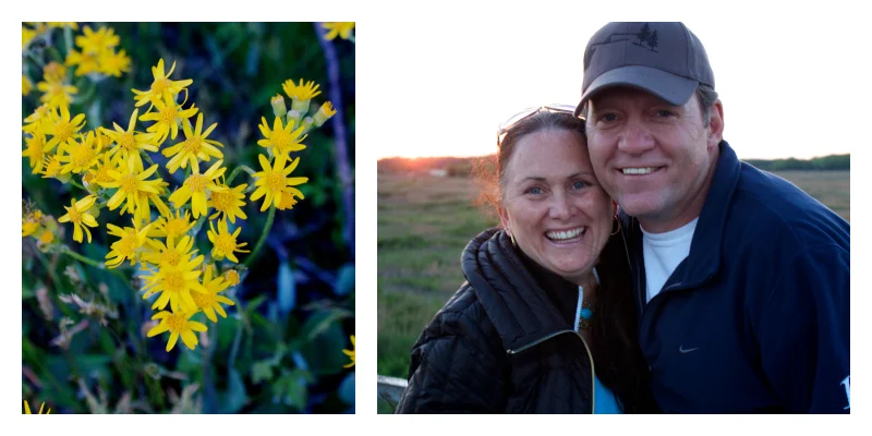 PicMonkey Collage-11.jpg