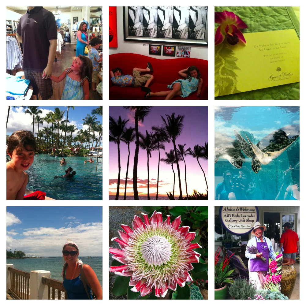 PicMonkey Collage-8.jpg