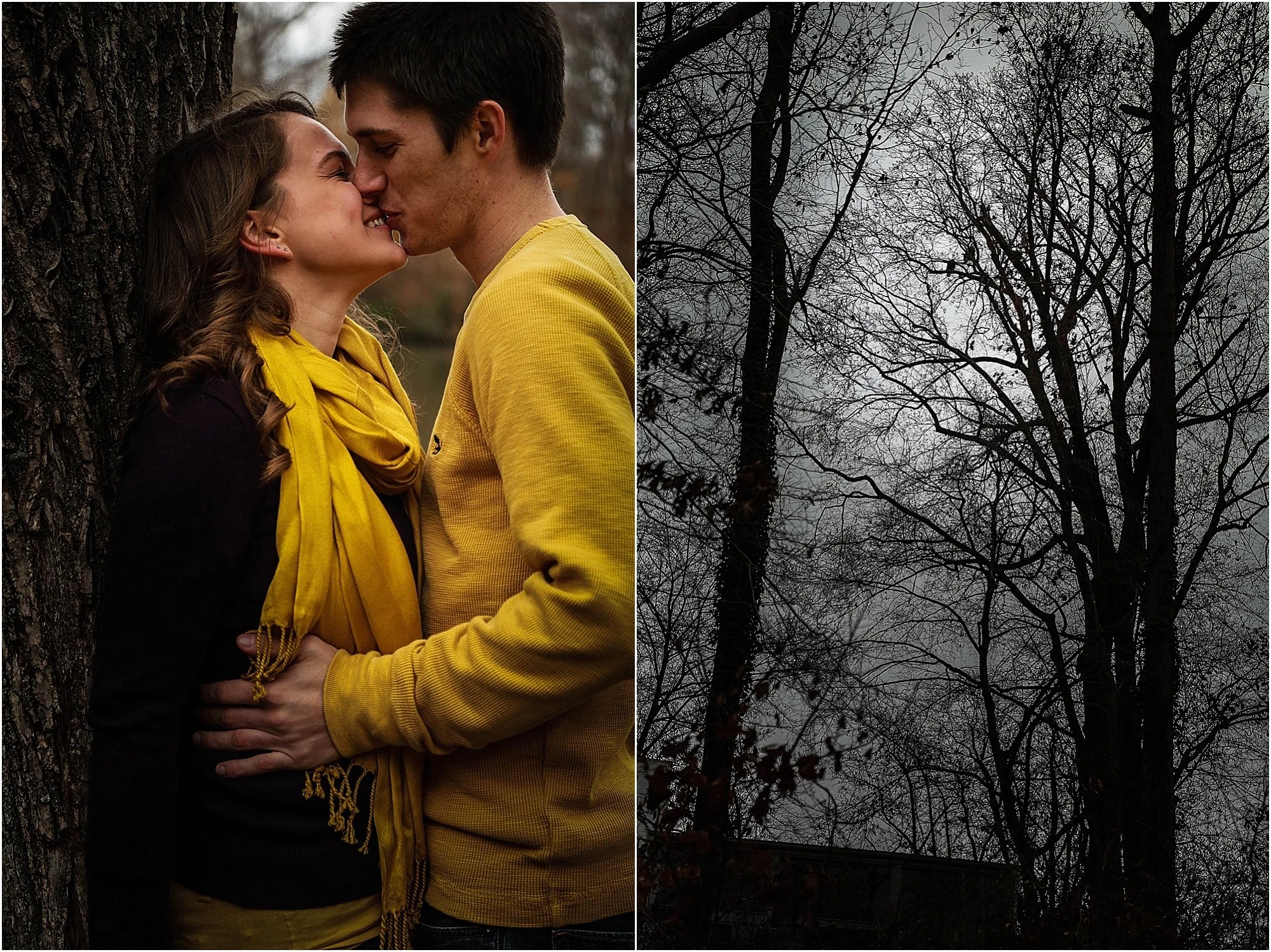 There are two bald eagles up in the trees... fitting for these two lovebirds!