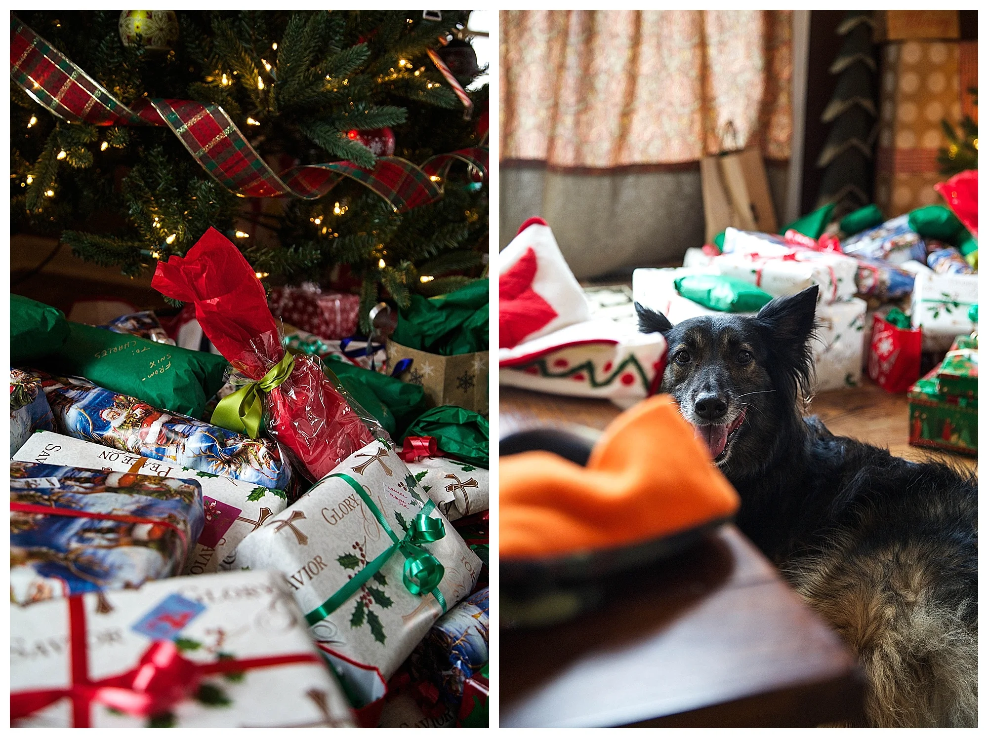 Our-Deep-Creek-Christmas_0007.jpg