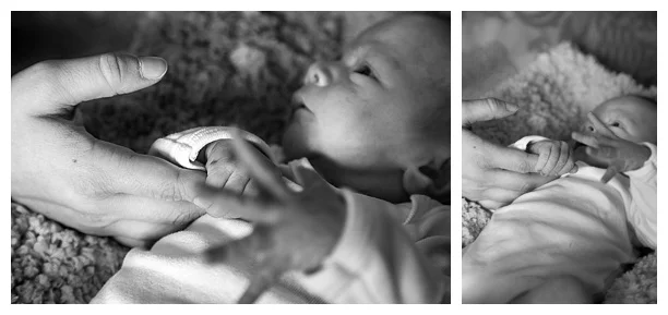 White-Baby-Newborn_001.jpg