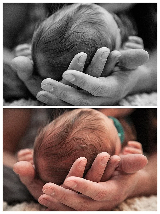 Wayne-Newborn-January_0028.jpg