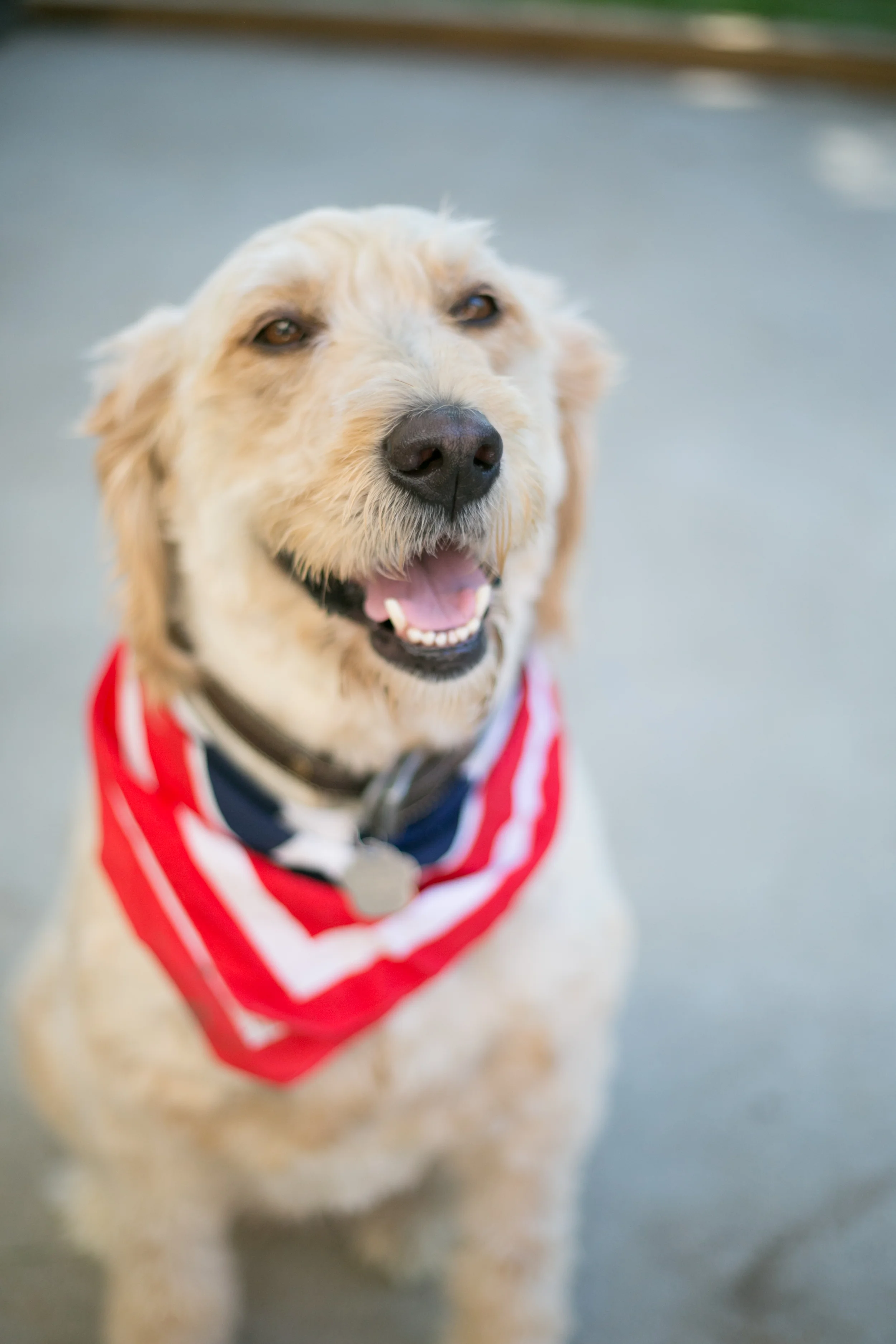 mcdade-fourth-of-july-catonsville-sugarfest-2014-10.jpg