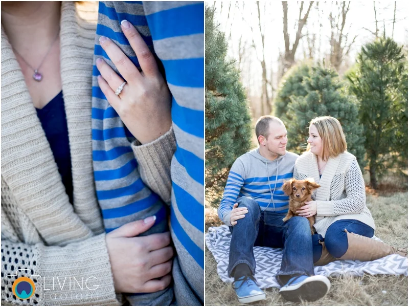 Amber-Chris-Christmas-Tree-Farm-Engagement-Session-Living-Radiant-Photography-maryland-best-photographers-outdoor_0005.jpg