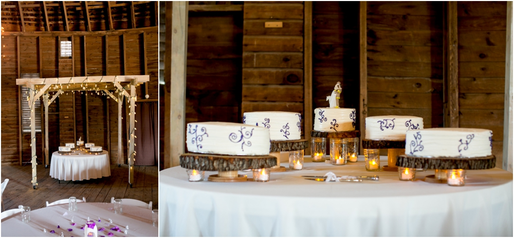 Welker Round Barn Farm Market Outdoor Wedding Living Radiant Photography-65_0116.jpg