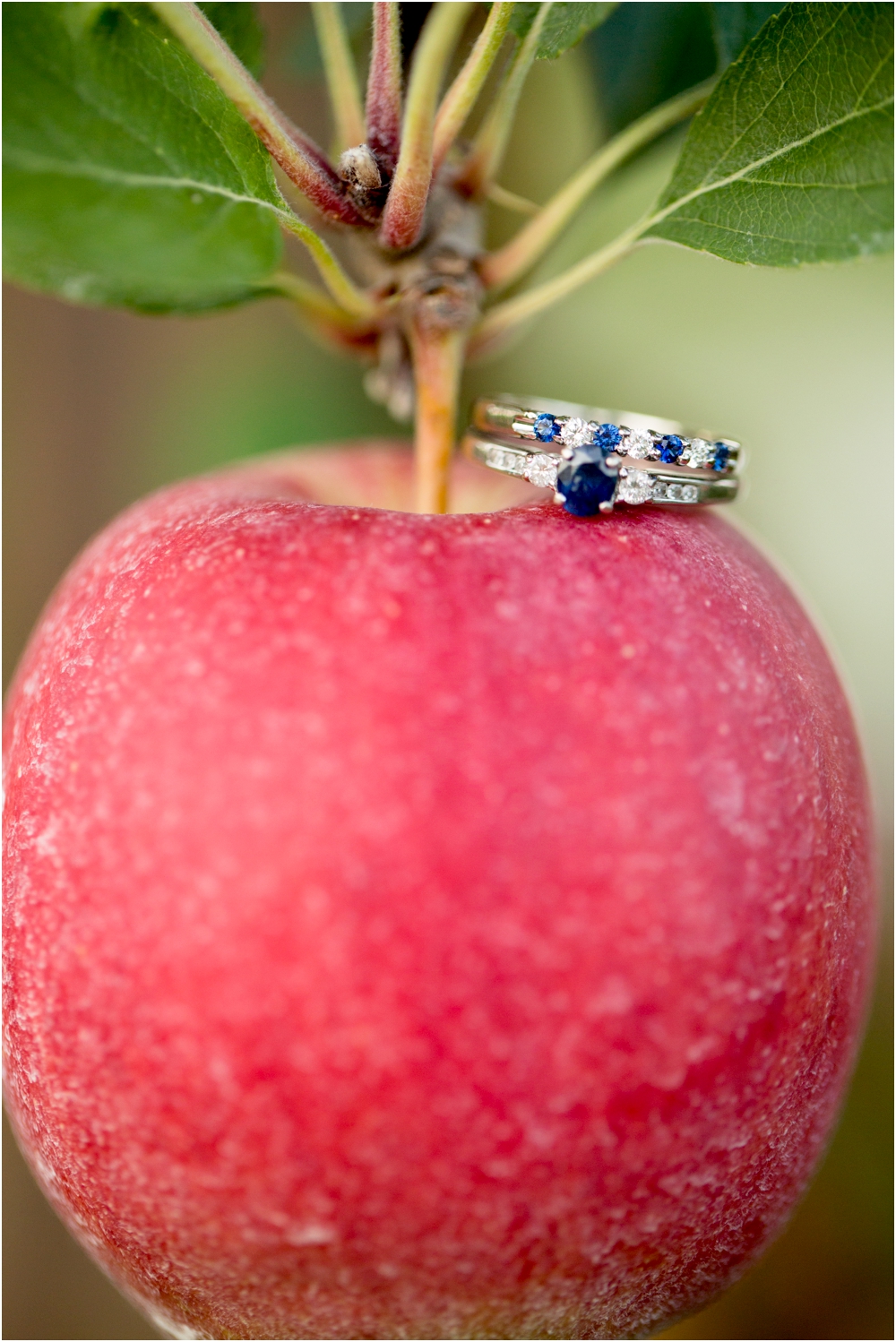 Welker Round Barn Farm Market Outdoor Wedding Living Radiant Photography-65_0133.jpg