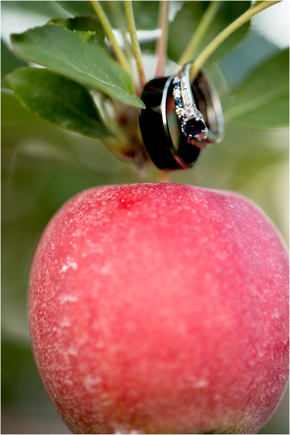 Welker Round Barn Farm Market Outdoor Wedding Living Radiant Photography-65_0135.jpg