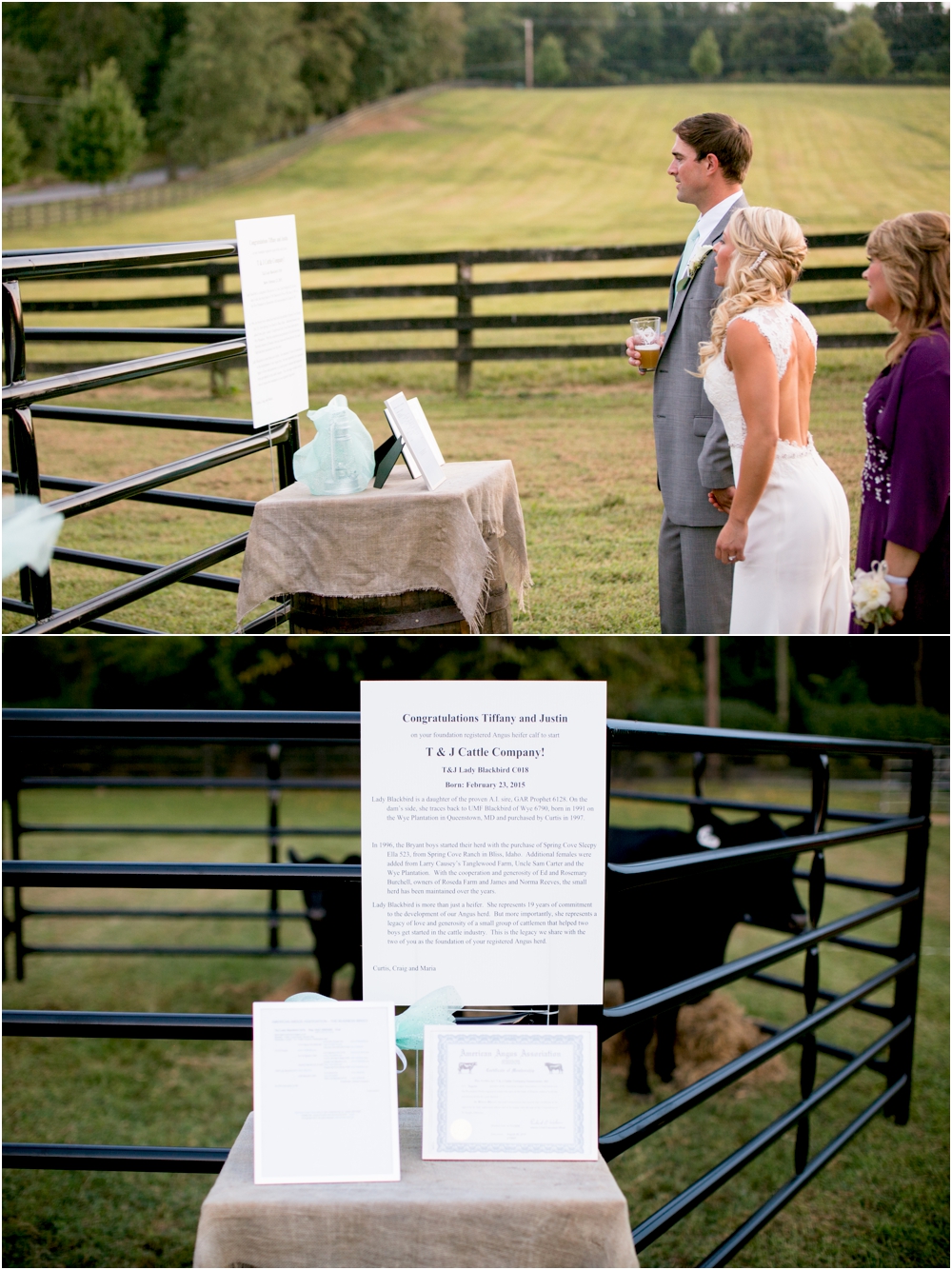 Justin Tiffany Inverness Farms Wedding Living Radiant Photography photos_0155.jpg