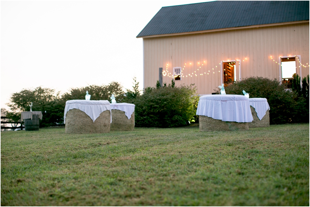 Justin Tiffany Inverness Farms Wedding Living Radiant Photography photos_0156.jpg