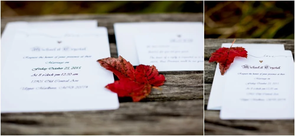 crystal mike martins camelot night wedding living radiant photography photos_0008.jpg