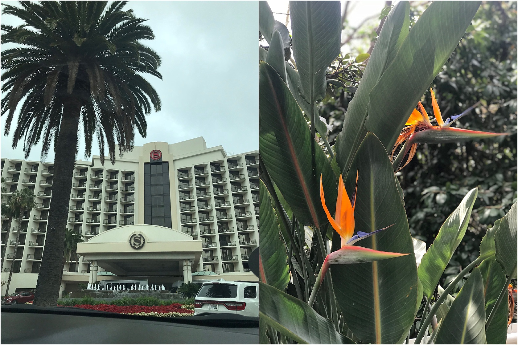 Our second hotel to literally store our gear and to shower at after the zoo before our red eye flight. 