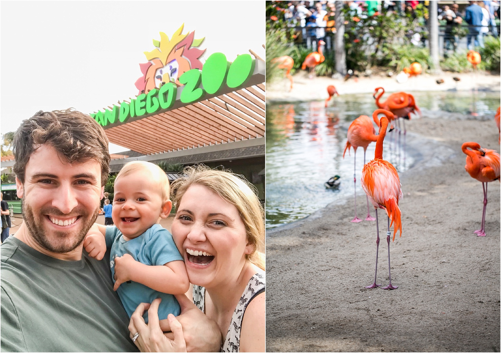 We all loved the zoo!