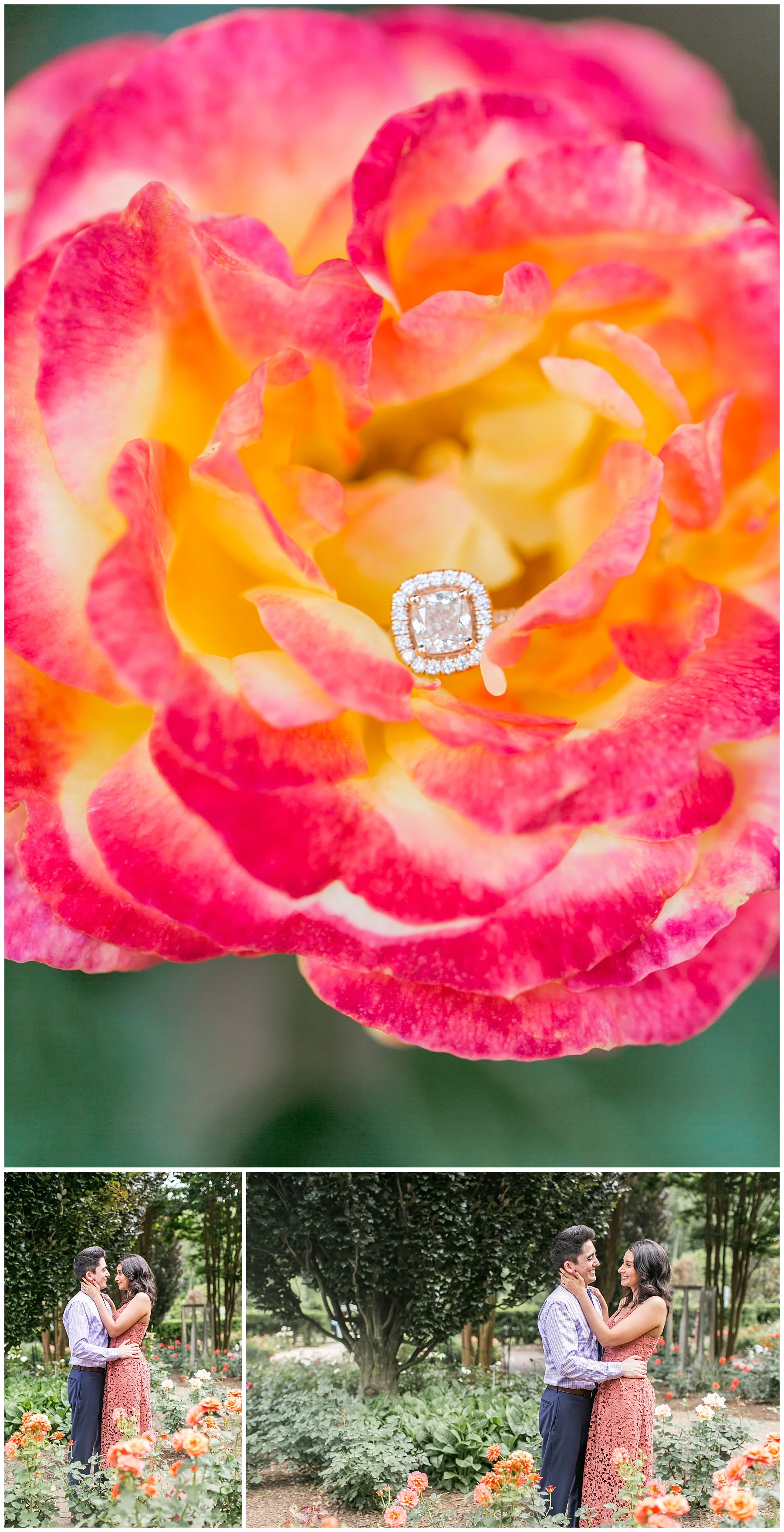Marlina Jake Engagement Brookside Gardens Living Radiant Photography photos_0015.jpg
