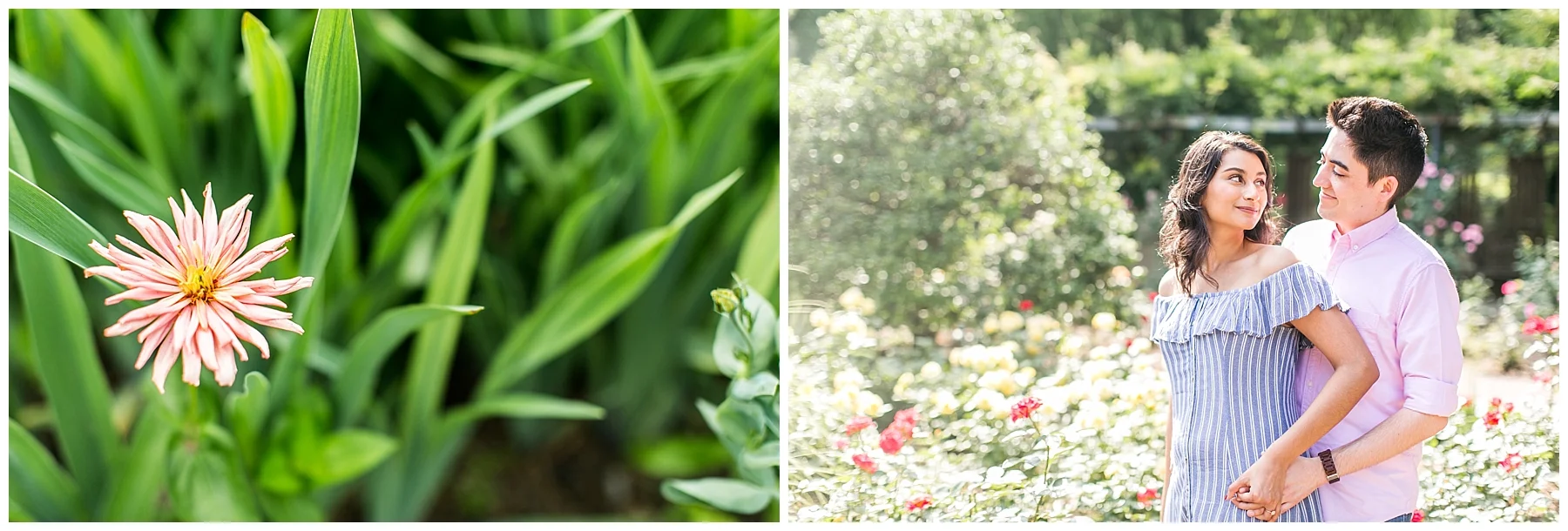 Marlina Jake Engagement Brookside Gardens Living Radiant Photography photos_0028.jpg