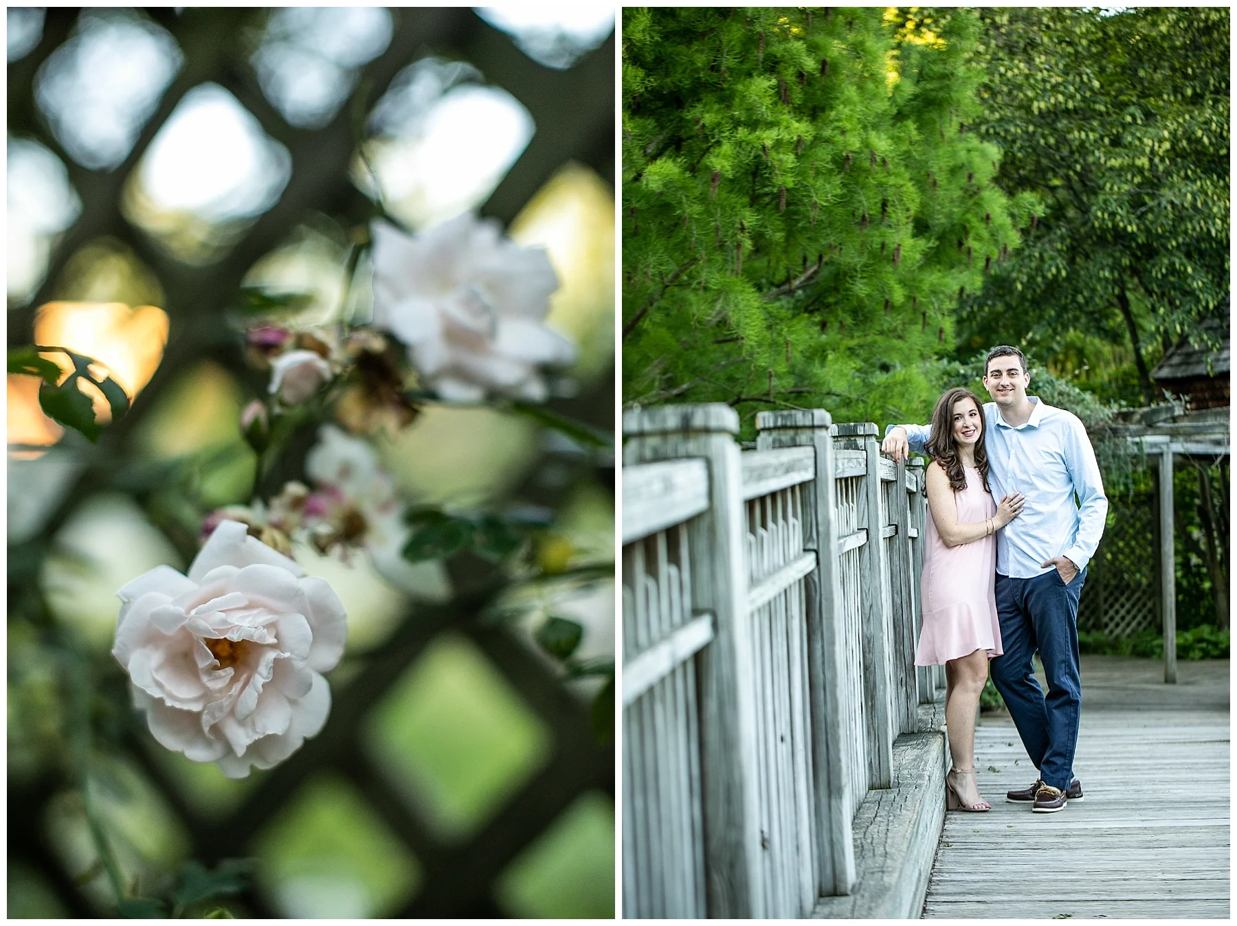 Living Radiant Photography | Katie Daniel Brookside Gardens Engagement Session | Baltimore Weddings