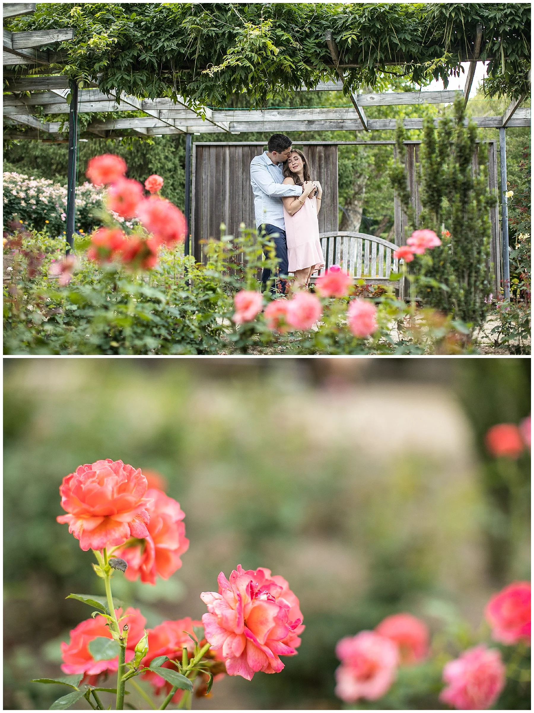 Living Radiant Photography | Katie Daniel Brookside Gardens Engagement Session | Baltimore Weddings