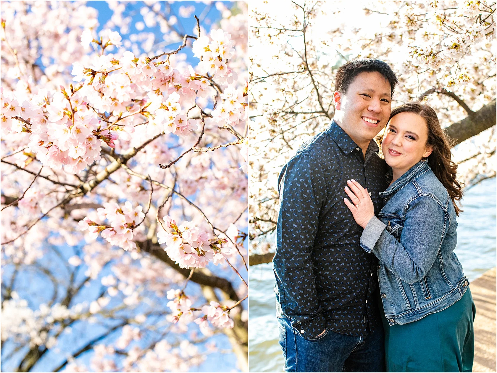 MelissaKevinCherryBlossomsDCEngagementSessionMarch2019LivingRadiantPhotographyphotos_0014.jpg