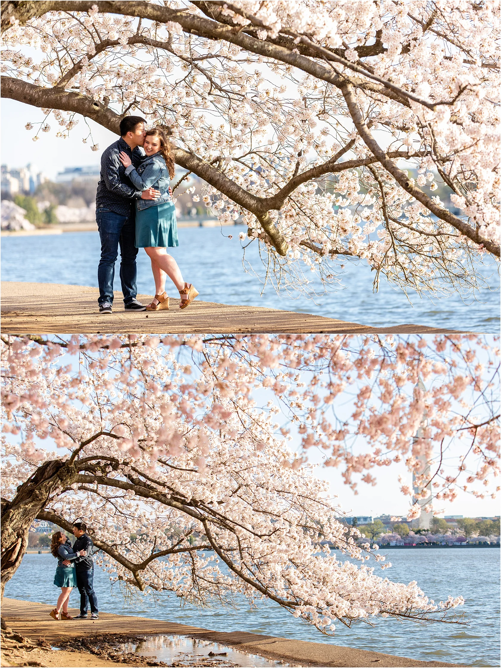 MelissaKevinCherryBlossomsDCEngagementSessionMarch2019LivingRadiantPhotographyphotos_0016.jpg