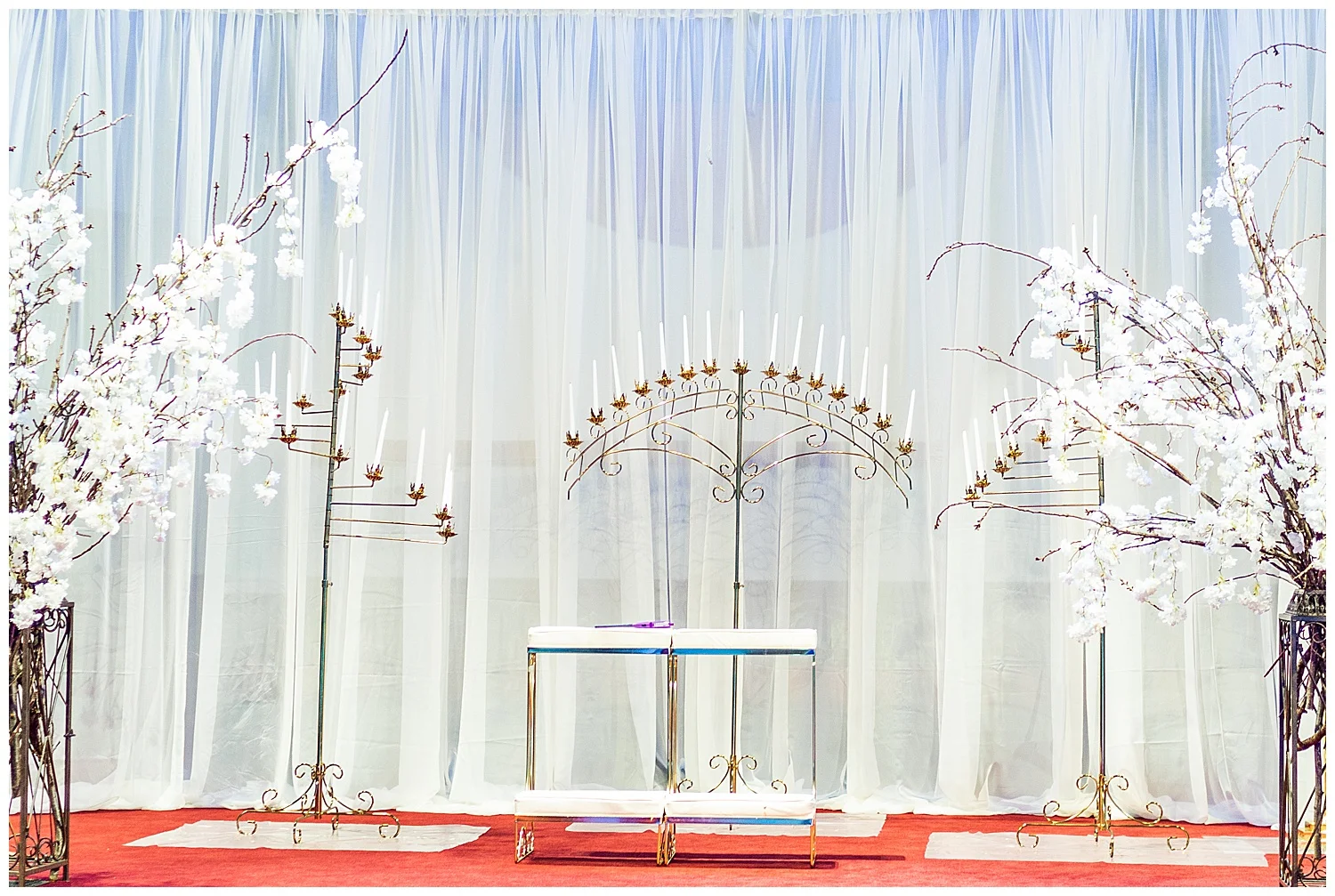 J+L Martins West Indian Wedding Living Radiant Photography photos_0039.jpg