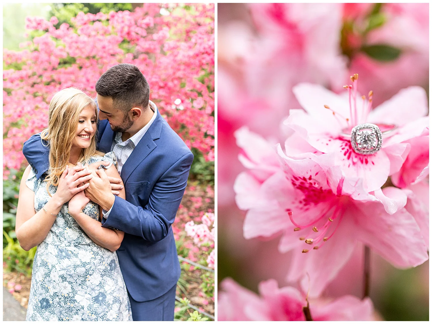 Emily Greg Brookside Gardens Engagement Session Living Radiant Photography stomped_0021.jpg