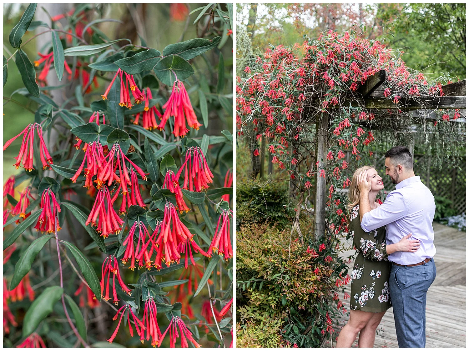 Emily Greg Brookside Gardens Engagement Session Living Radiant Photography stomped_0024.jpg