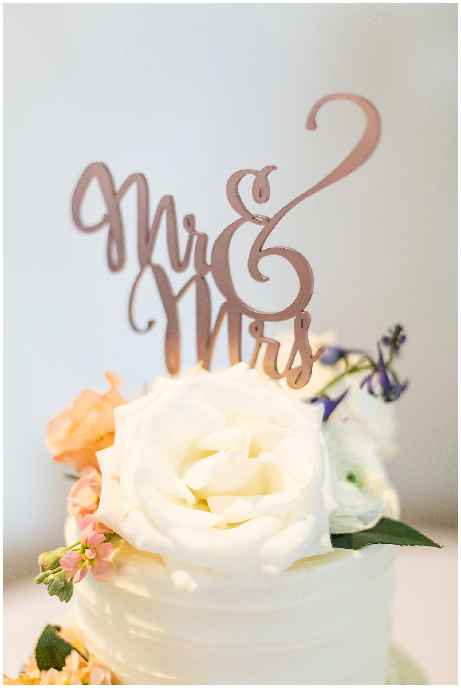 Laura Kurt Piney Branch Wedding Living Radiant Photography photos_0099.jpg