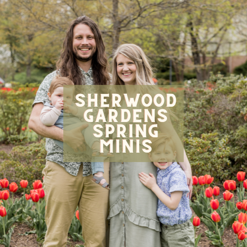 Sherwood Gardens Family Sessions