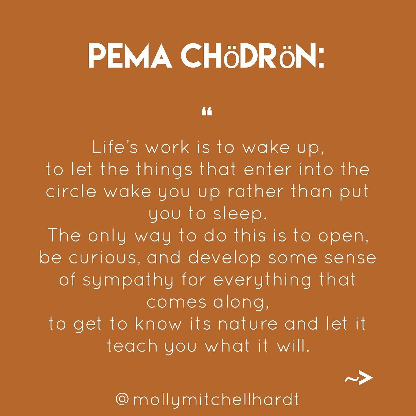 #pemachodron