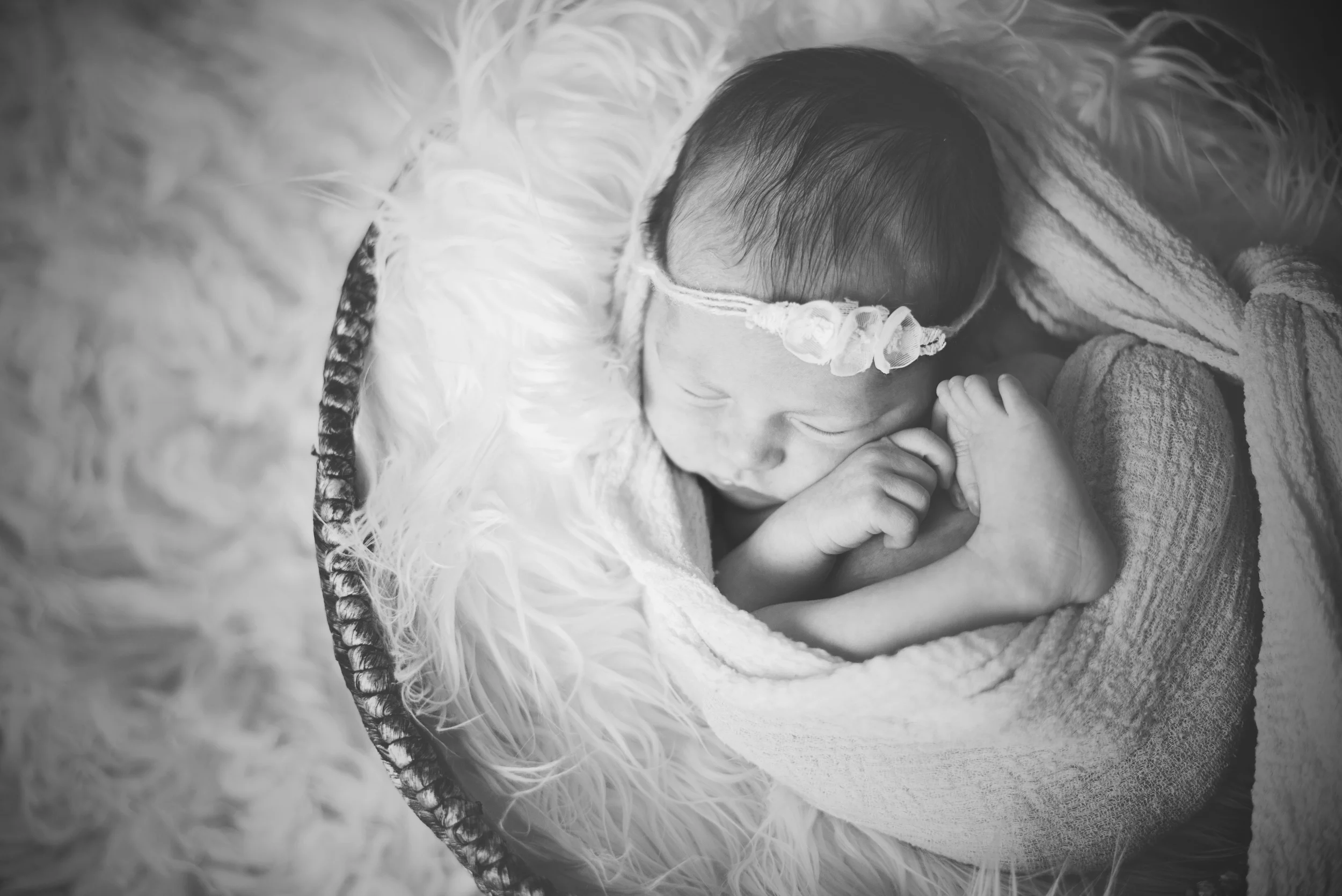 Melissa_Zimmer_Newborn_Photographer_5.jpg