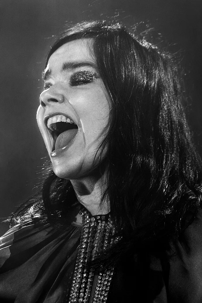 BJORK2.jpg