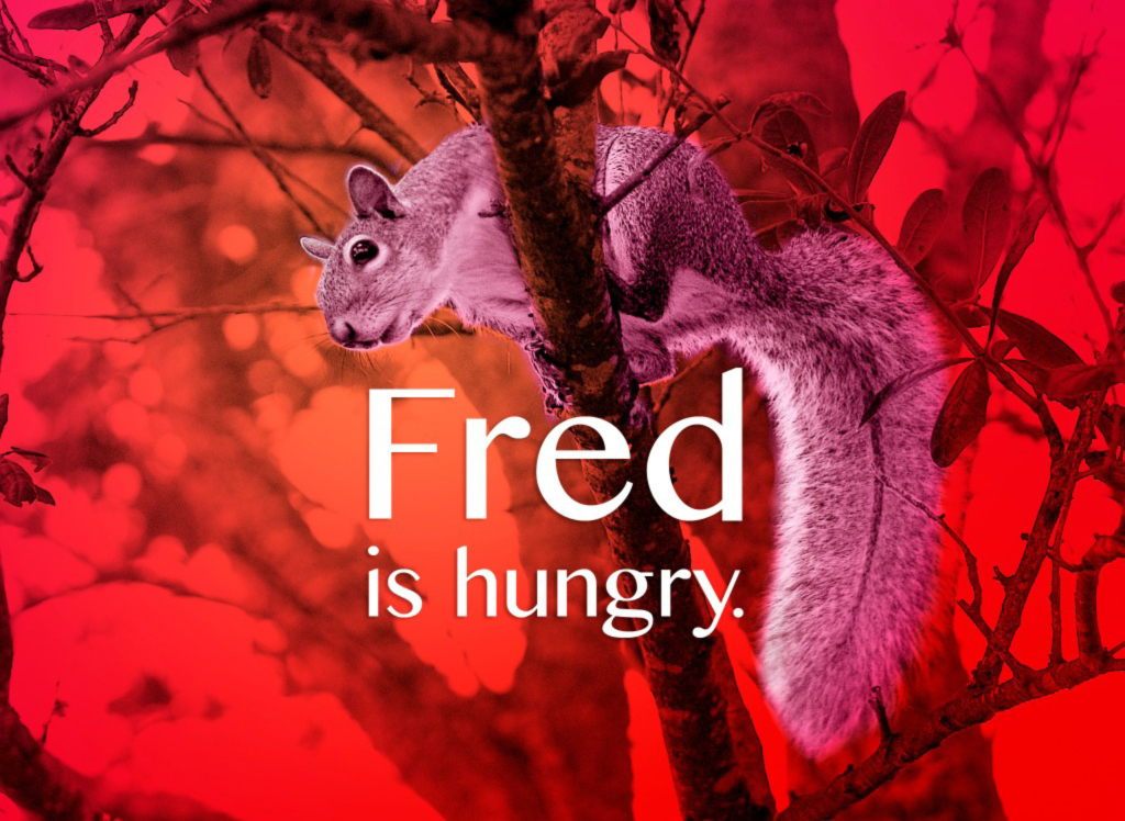 FredsFeedingFrenzy_by_M_Tito-6.jpg