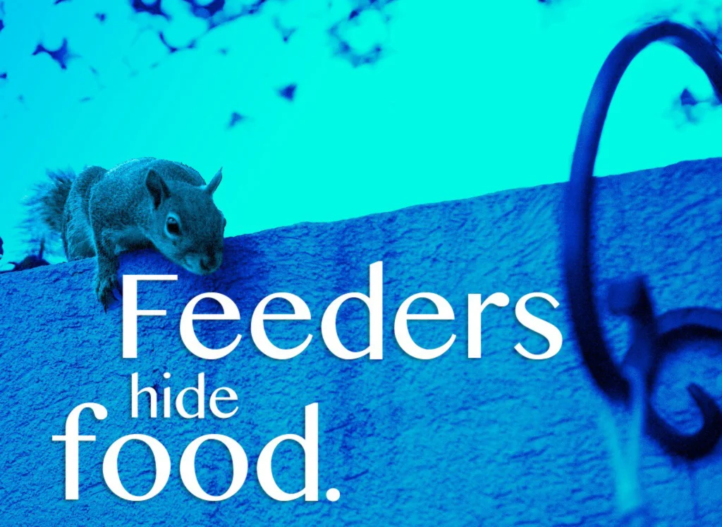 FredsFeedingFrenzy_by_M_Tito-9.jpg