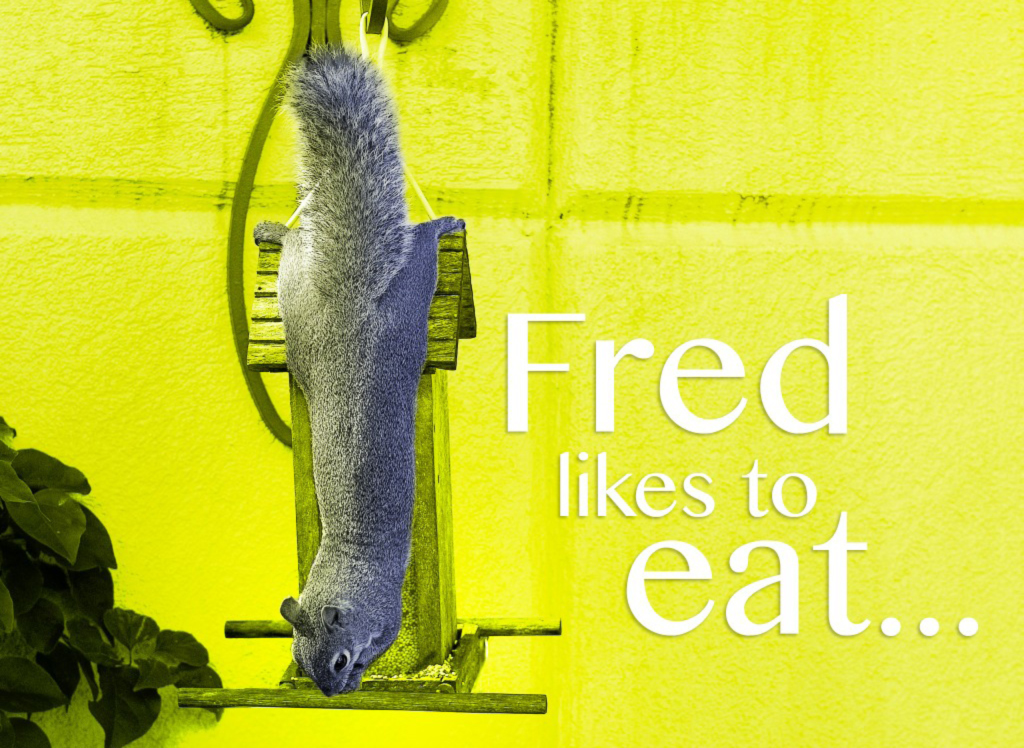 FredsFeedingFrenzy_by_M_Tito-12.jpg