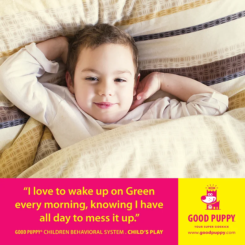 Good Puppy Children Behavioral Tools