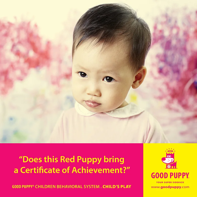 Good Puppy Children Behavioral Tools