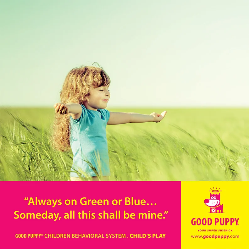 Good Puppy Children Behavioral Tools