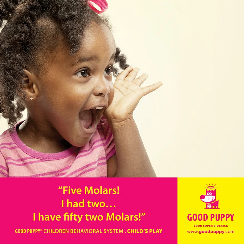 Good Puppy Children Behavioral Tools