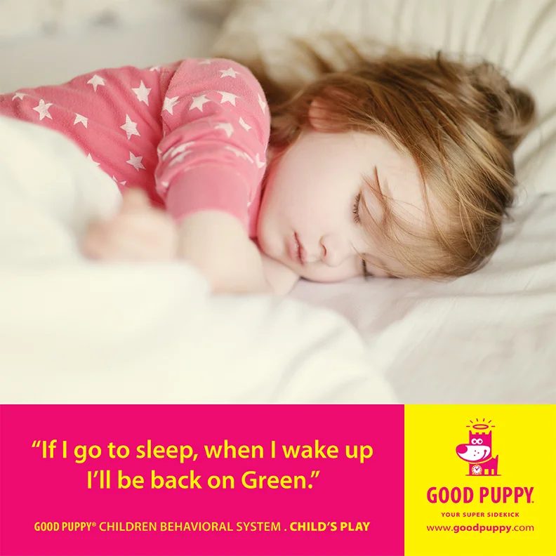 Good Puppy Children Behavioral Tools