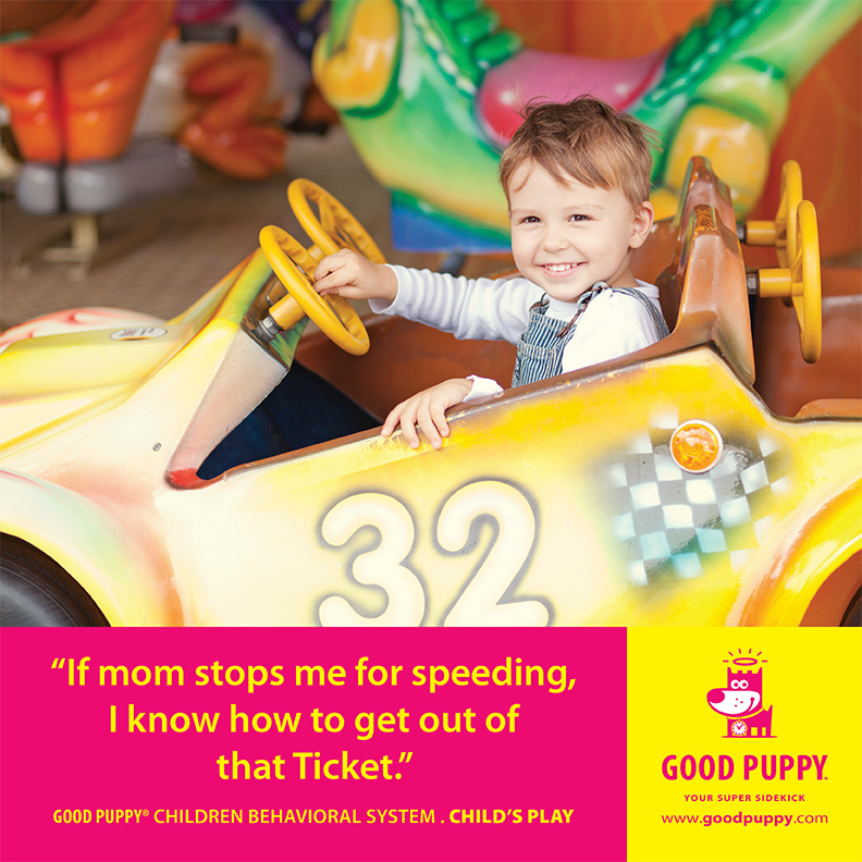 Good Puppy Children Behavioral Tools