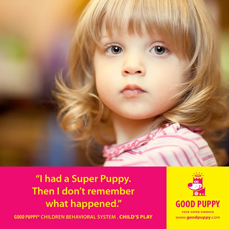 Good Puppy Children Behavioral Tools