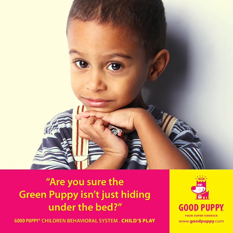 Good Puppy Children Behavioral Tools