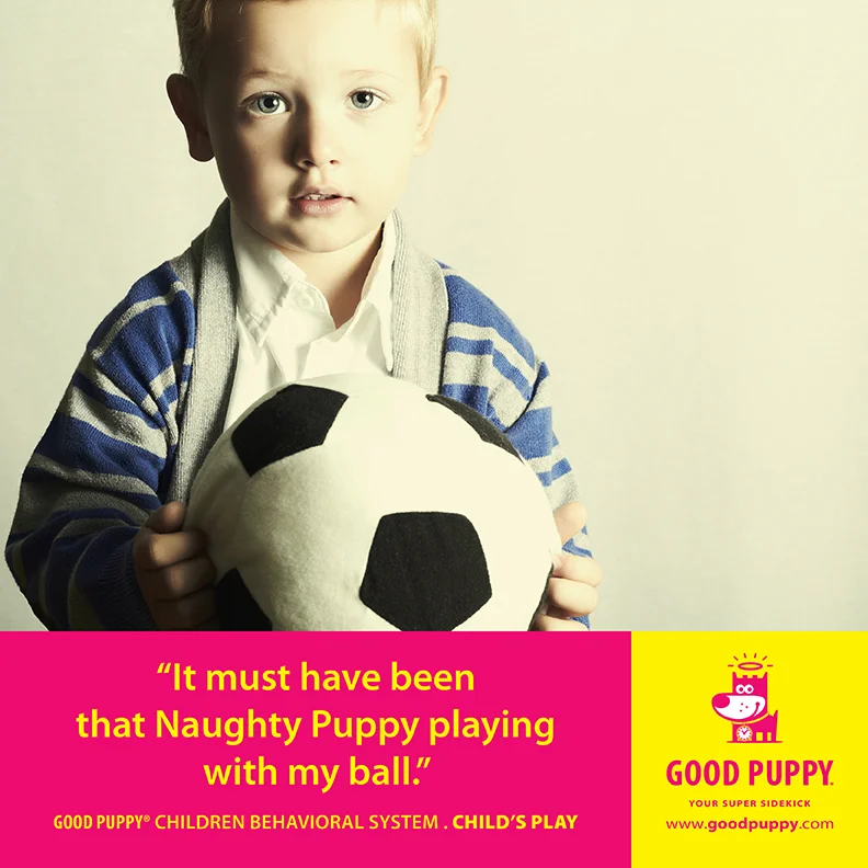Good Puppy Children Behavioral Tools