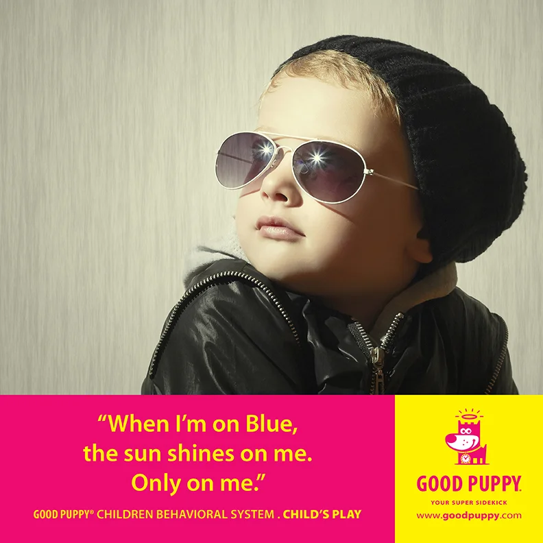 Good Puppy Children Behavioral Tools