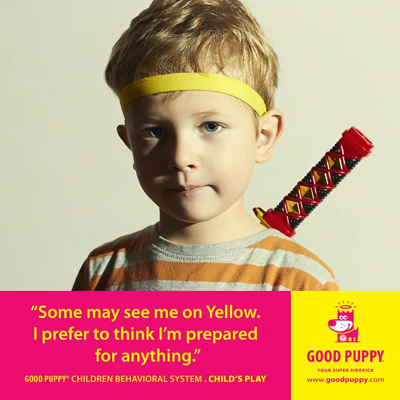 Good Puppy Children Behavioral Tools