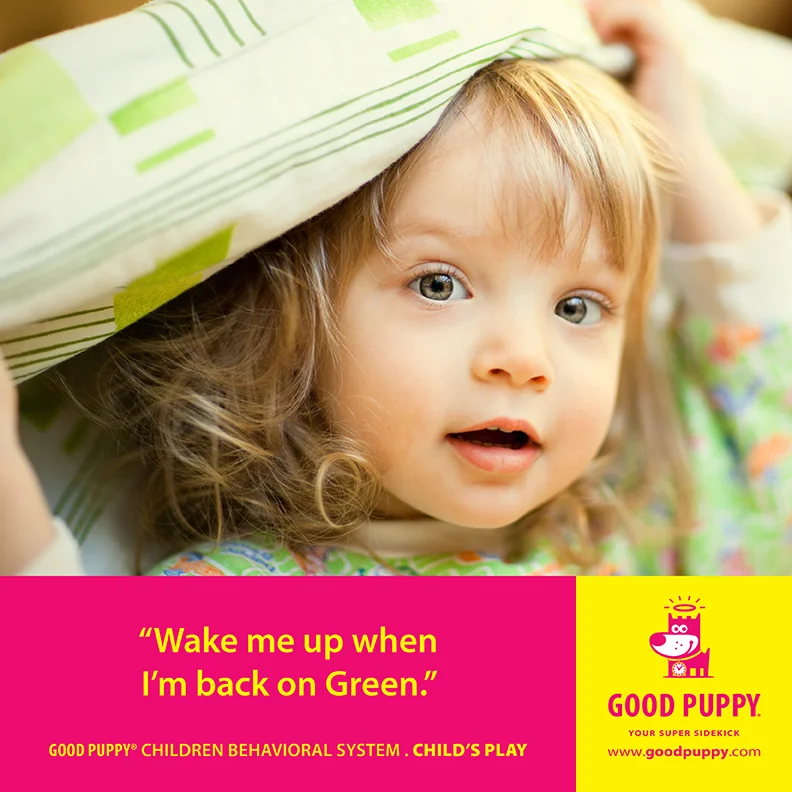 Good Puppy Children Behavioral Tools