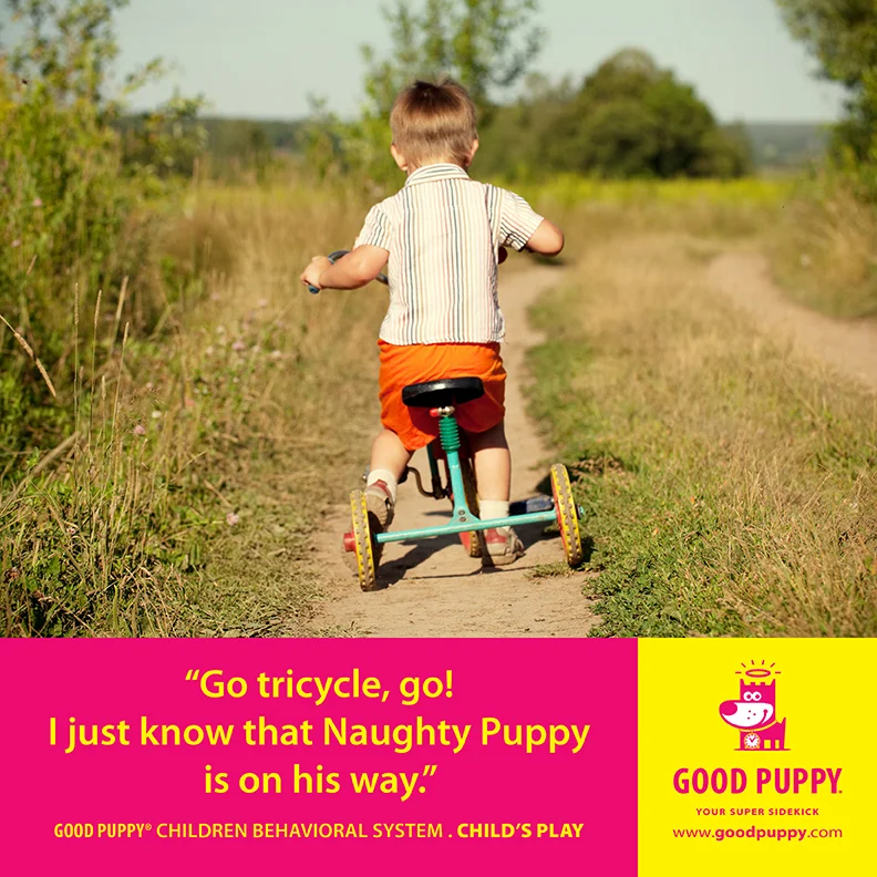 Good Puppy Children Behavioral Tools