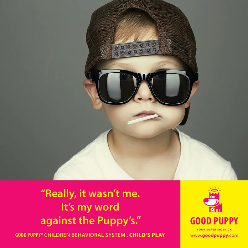 Good Puppy Children Behavioral Tools
