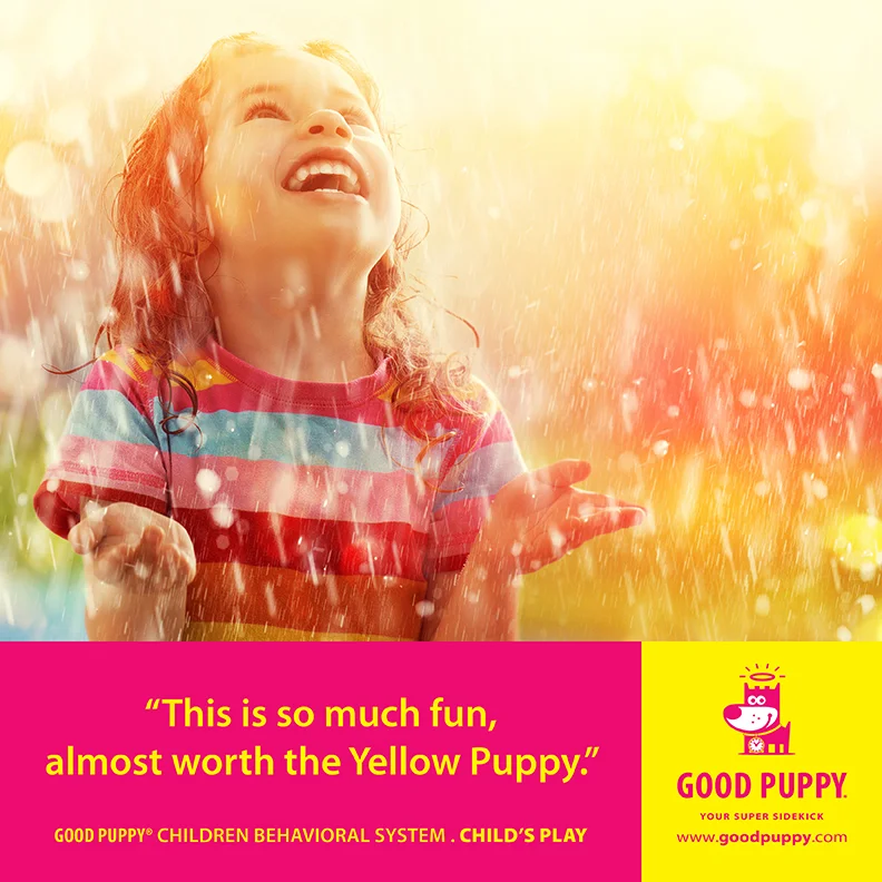 Good Puppy Children Behavioral Tools