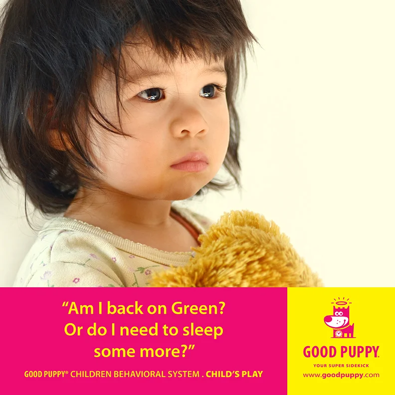 Good Puppy Children Behavioral Tools